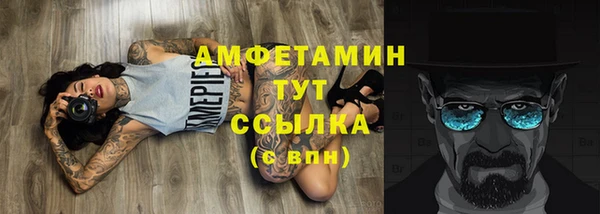прущие грибы Покачи