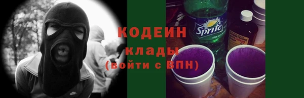 прущие грибы Покачи