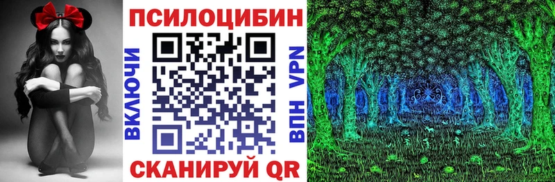 как найти   Серафимович  OMG зеркало  Псилоцибиновые грибы мицелий 